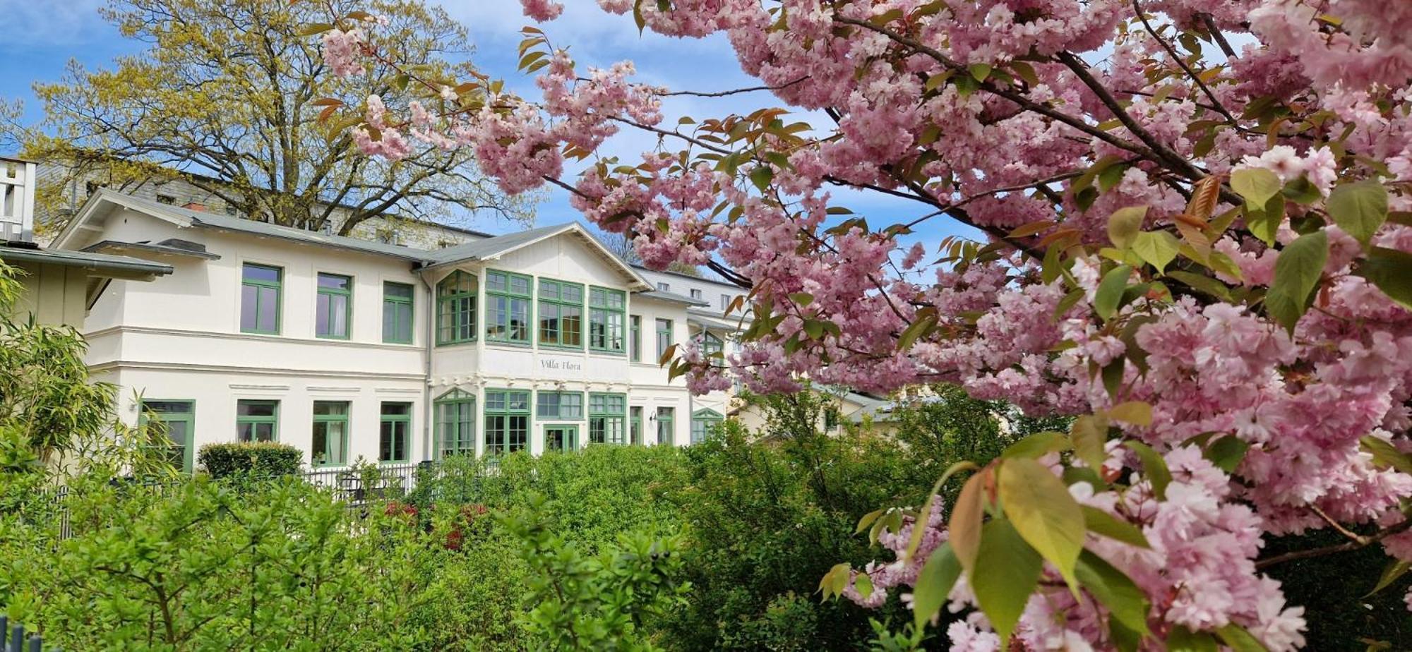 Villa Flora Heringsdorf  Luaran gambar